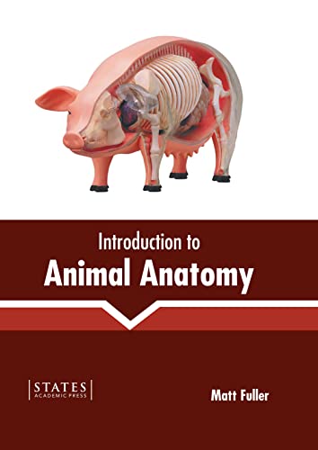 Stock image for Introduction to Animal Anatomy for sale by Romtrade Corp.