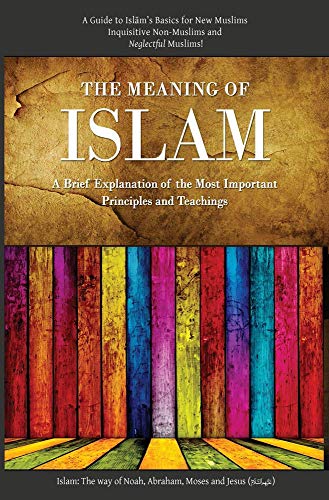 Stock image for The Meaning of Islam. ABrief Explanation of the Most Important Principles and Teachings for sale by GF Books, Inc.