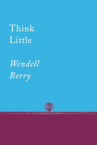 Beispielbild fr Think Little: Essays (Counterpoints) zum Verkauf von HPB-Movies