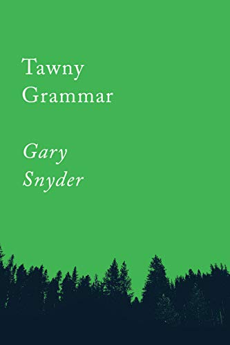 Imagen de archivo de Tawny Grammar: Essays (Counterpoints Series) a la venta por HPB-Emerald