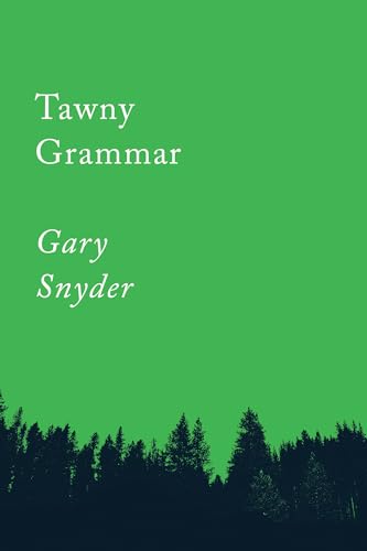 Stock image for Tawny Grammar: Essays (Counterpoints Series) for sale by HPB-Emerald