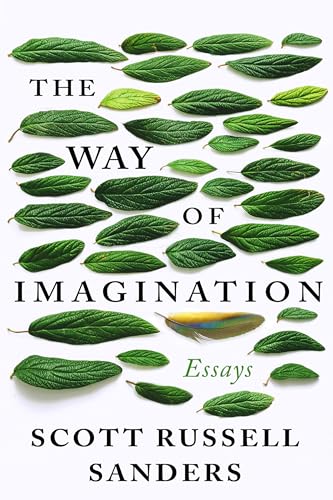 Beispielbild fr The Way Of Imagination: Essays zum Verkauf von WorldofBooks