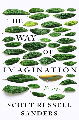 Stock image for The Way of Imagination: Essays for sale by SecondSale