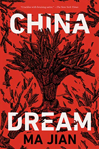 Stock image for China Dream for sale by Revaluation Books
