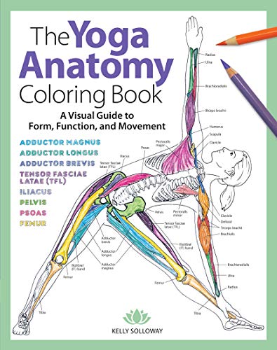 Beispielbild fr Yoga Anatomy Coloring Book: A Visual Guide to Form, Function, and Movement - An Educational Anatomy Coloring Book for Medical Students, Yoga . & Adults (Volume 1) (Anatomy Coloring Books) zum Verkauf von BooksRun