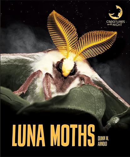 Stock image for Luna Moths (Creatures of the Night) for sale by Housing Works Online Bookstore