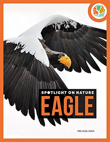 Imagen de archivo de Eagle a la venta por Better World Books