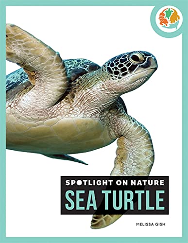 9781640261853: Sea Turtle (Spotlight on Nature)