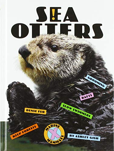 Beispielbild fr Sea Otters (Xtreme Marine Mammals) zum Verkauf von Buchpark