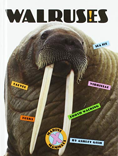 Beispielbild fr Walruses (X-Books: Marine Mammals) zum Verkauf von Buchpark