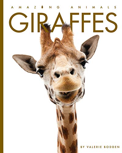 Beispielbild fr Giraffes (Amazing Animals) zum Verkauf von Buchpark