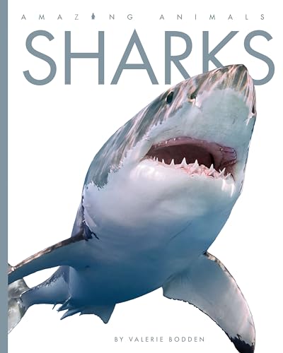 9781640262089: Sharks (Amazing Animals)