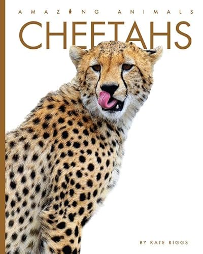 Stock image for Cheetahs (Amazing Animals) for sale by More Than Words