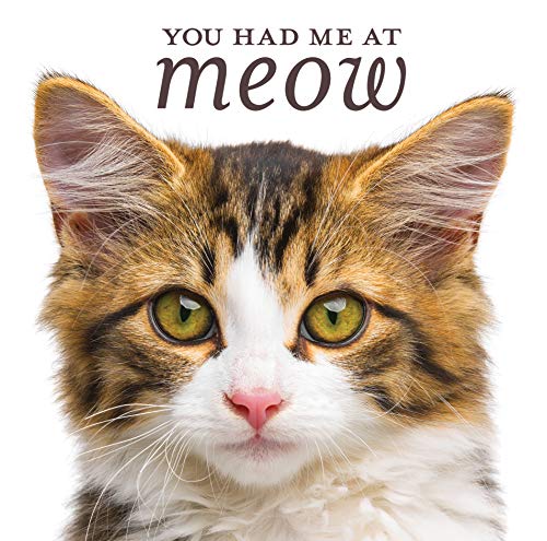 Stock image for You Had Me at Meow for sale by SecondSale