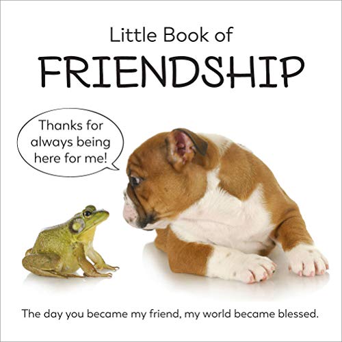 Beispielbild fr Little Book of Friendship zum Verkauf von Wonder Book