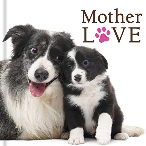 9781640307131: Mother Love (Dogs)