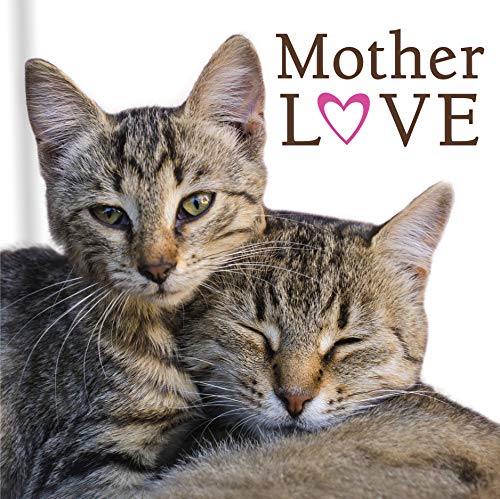 Beispielbild fr Mother Love (Cats) zum Verkauf von Wonder Book
