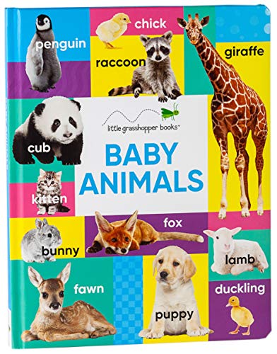 Beispielbild fr Early Learning - Baby Animals (Book & Downloadable App!) zum Verkauf von Wonder Book