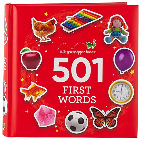 Stock image for 501 First Words (Treasury) for sale by SecondSale