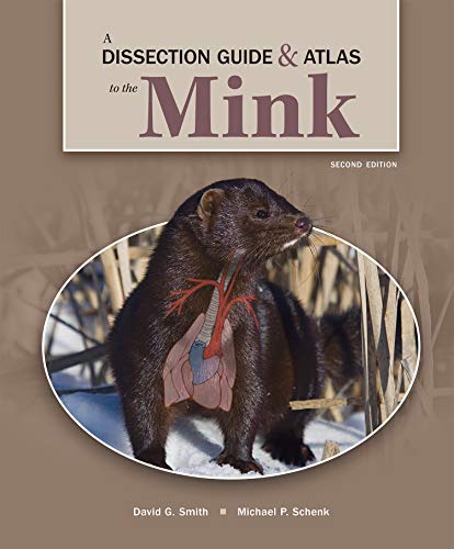 Stock image for A Dissection Guide & Atlas to the Mink for sale by SecondSale