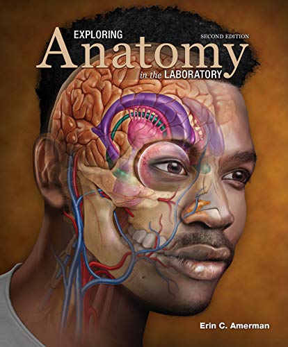 Beispielbild fr Exploring Anatomy in the Laboratory, Second Edition zum Verkauf von TextbookRush