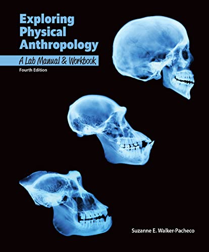9781640432123: Exploring Physical Anthropology: A Lab Manual & Workbook