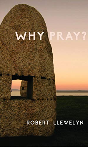 Stock image for Why Pray?: Unpublished writings by the former chaplain to the shrine of Julian of Norwich (Volume 1) for sale by SecondSale