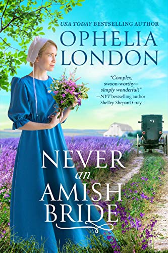 Beispielbild fr Never an Amish Bride (Honey Brook, 1) zum Verkauf von Wonder Book