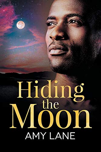 Beispielbild fr Hiding the Moon: Volume 4 zum Verkauf von ThriftBooks-Dallas