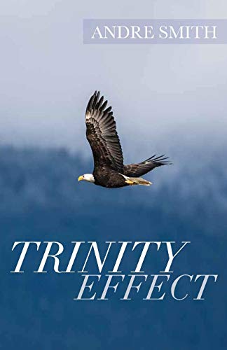 9781640882355: Trinity Effect