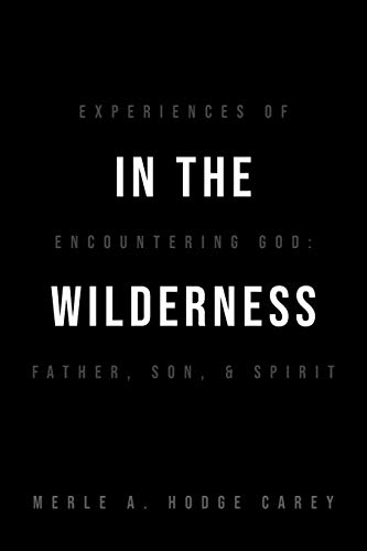 Imagen de archivo de In the Wilderness: Experiences of Encountering God: Father, Son, and Spirit a la venta por Red's Corner LLC