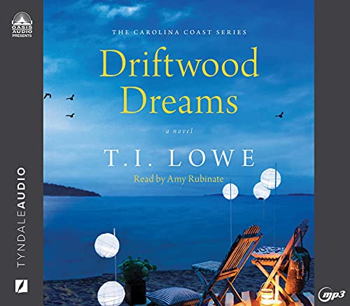 Stock image for Driftwood Dreams for sale by Revaluation Books