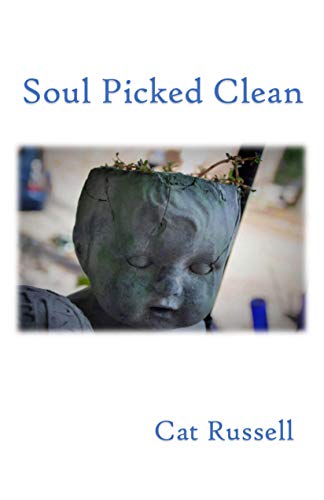 Stock image for Soul Picked Clean for sale by Housing Works Online Bookstore