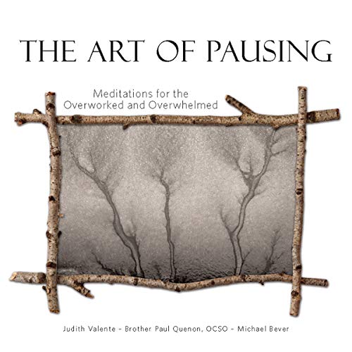 Beispielbild fr The Art of Pausing: Meditations for the Overworked and Overwhelmed zum Verkauf von ThriftBooks-Atlanta