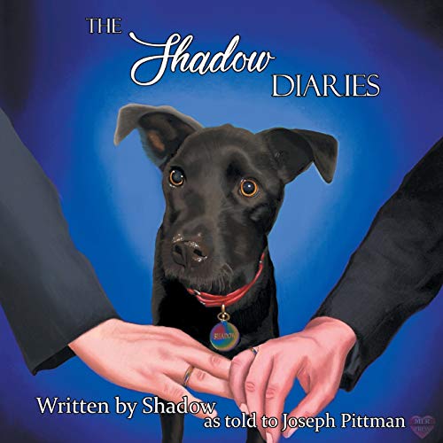 Stock image for The Shadow Diaries for sale by Wonder Book