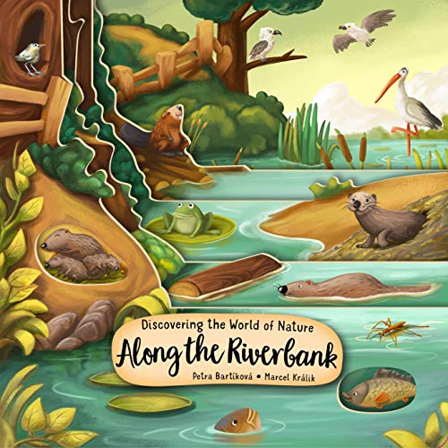 Stock image for Discovering the World of Nature Along the Riverbank (Happy Fox Books) Board Book for Kids Ages 3-6 to Learn About Animals Living In, Near, or Under Water, plus Fun and Educational Facts (Peek Inside) for sale by gwdetroit