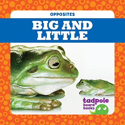 Stock image for Big and Little (Tadpole Board Books: Opposites) for sale by Gulf Coast Books