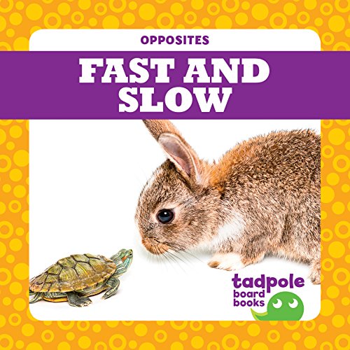 Stock image for Fast and Slow for sale by Better World Books