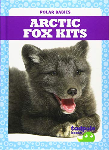 Stock image for Arctic Fox Kits for sale by ThriftBooks-Atlanta