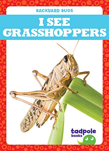 Stock image for I See Grasshoppers for sale by ThriftBooks-Dallas