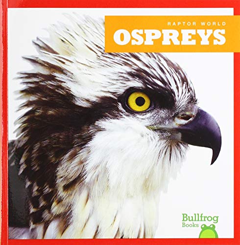 Stock image for Ospreys for sale by ThriftBooks-Atlanta