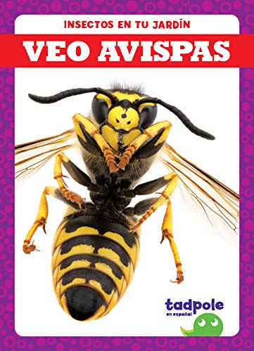 Stock image for Veo Avispas (I See Wasps) for sale by ThriftBooks-Atlanta