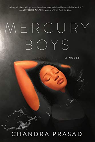 Imagen de archivo de Mercury Boys a la venta por ThriftBooks-Atlanta