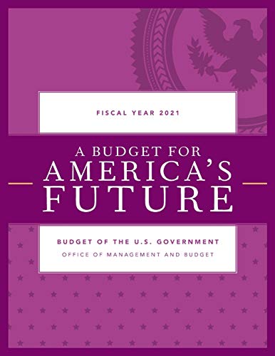 Stock image for A Budget for Americas Future: Budget of the U.S. Government, Fiscal Year 2021 for sale by Bulk Book Warehouse