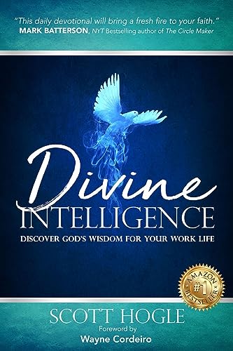 Stock image for Divine Intelligence: Discover God's Wisdom for Your Work Life for sale by Front Cover Books