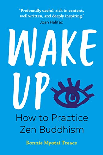 Beispielbild fr Wake Up: How to Practice Zen Buddhism zum Verkauf von Buchpark