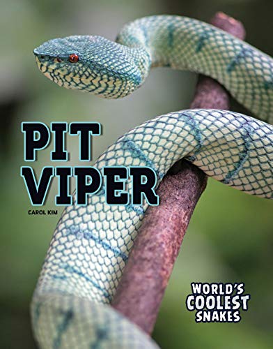 Beispielbild fr Pit Viper zum Verkauf von Russell Books