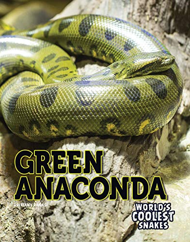 Beispielbild fr Green Anaconda zum Verkauf von Russell Books