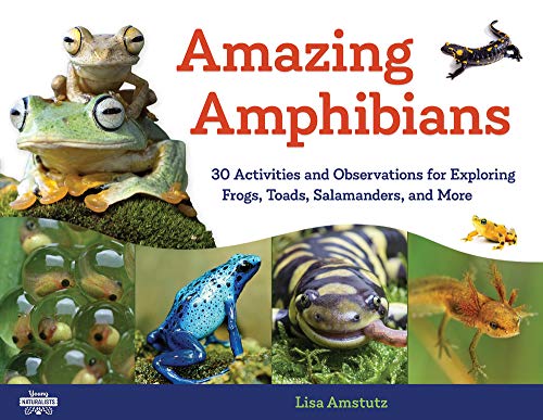 Beispielbild fr Amazing Amphibians 30 Activities and Observations for Exploring Frogs, Toads, Salamanders, and More Young Naturalists zum Verkauf von PBShop.store US