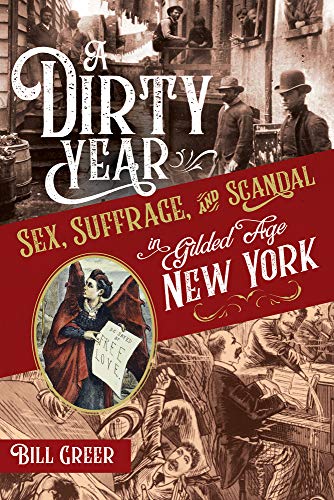 Stock image for A Dirty Year: Sex, Suffrage, and Scandal in Gilded Age New York for sale by ThriftBooks-Atlanta